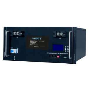 Liwatt Lithium 48V 100Ah Lifepo4 Lithium-Ion Battery price in bd.